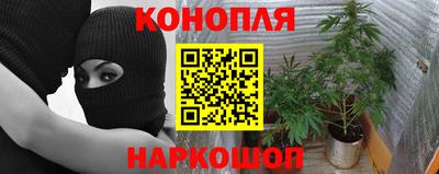 стаф Тверь
