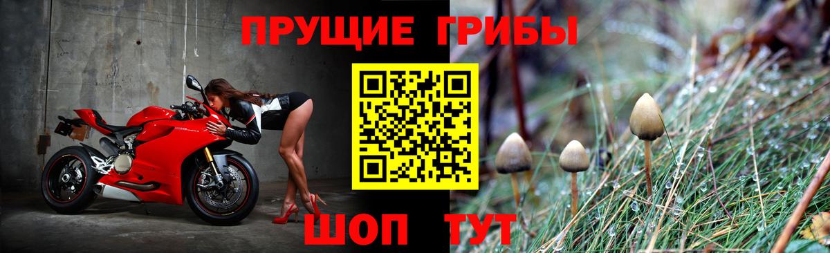 Галлюциногенные грибы Cubensis  закладки  Галлюциногенные грибы ЛСД  Минеральные Воды  Вход с VPN 