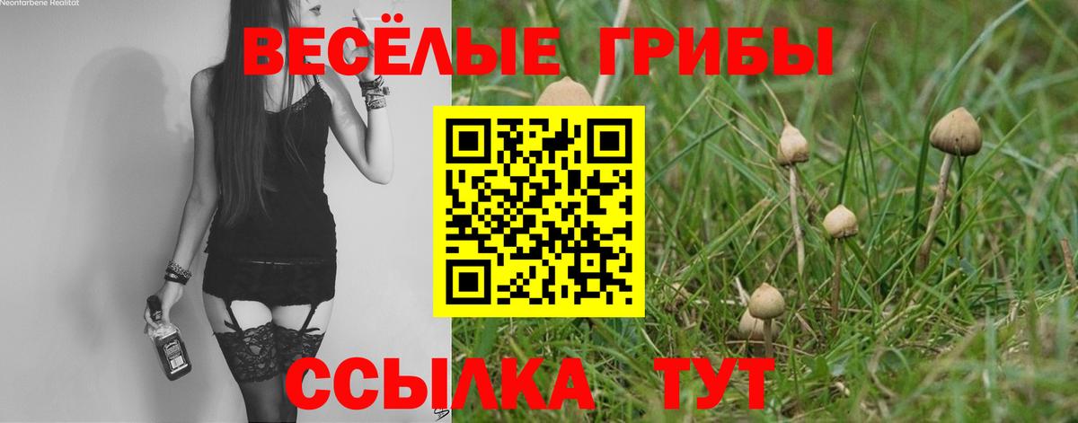 Галлюциногенные грибы мухоморы Минеральные Воды
